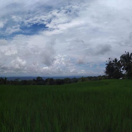 Tegal Jero Homestay Jatiluwih Kültér fotó
