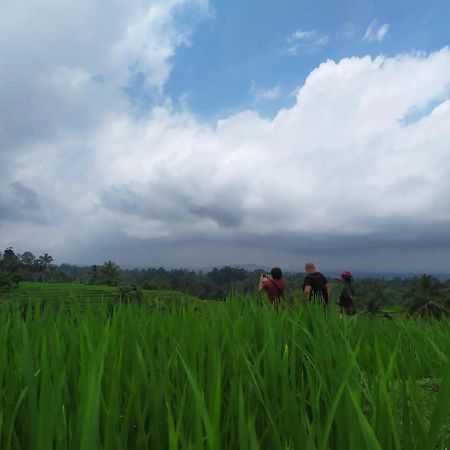 Tegal Jero Homestay Jatiluwih Kültér fotó