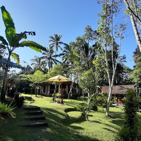 Tegal Jero Homestay Jatiluwih Kültér fotó