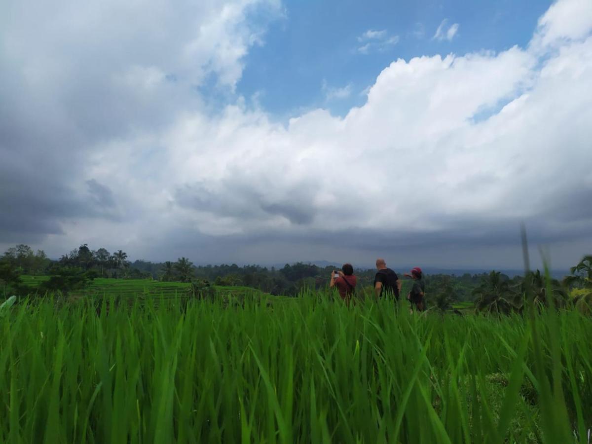 Tegal Jero Homestay Jatiluwih Kültér fotó