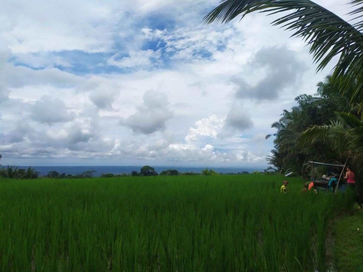 Tegal Jero Homestay Jatiluwih Kültér fotó