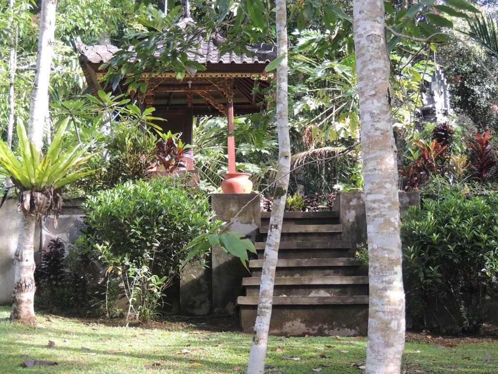 Tegal Jero Homestay Jatiluwih Kültér fotó