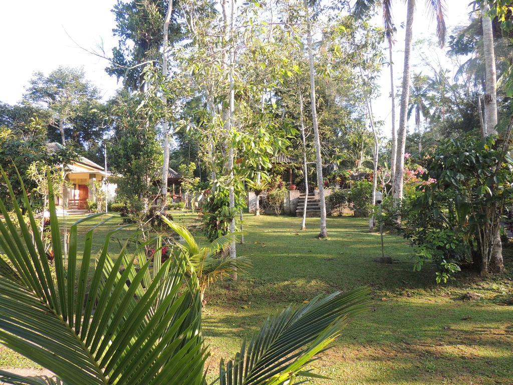 Tegal Jero Homestay Jatiluwih Kültér fotó