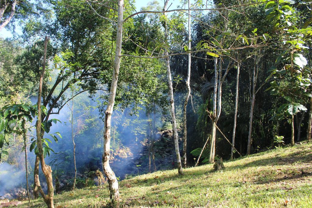 Tegal Jero Homestay Jatiluwih Kültér fotó