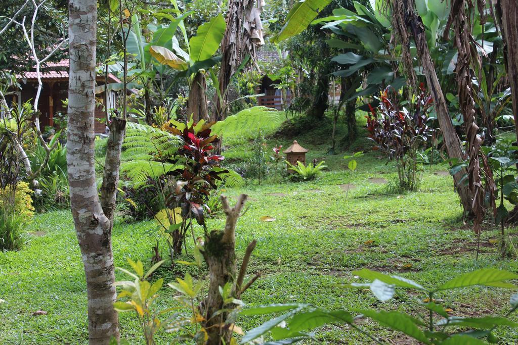 Tegal Jero Homestay Jatiluwih Kültér fotó