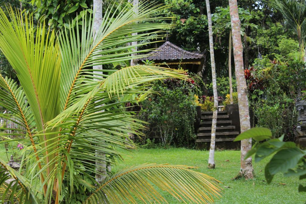 Tegal Jero Homestay Jatiluwih Kültér fotó