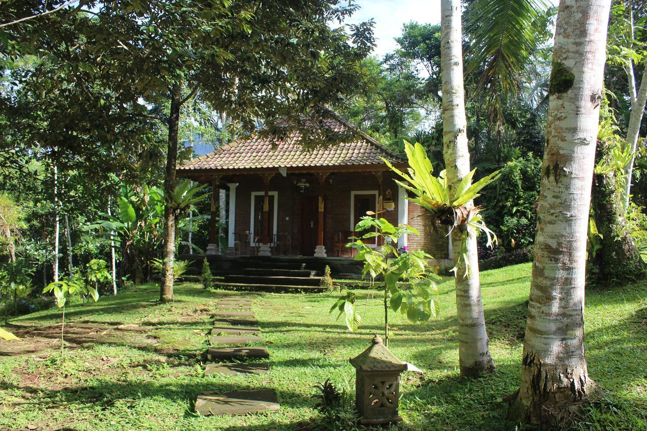 Tegal Jero Homestay Jatiluwih Kültér fotó