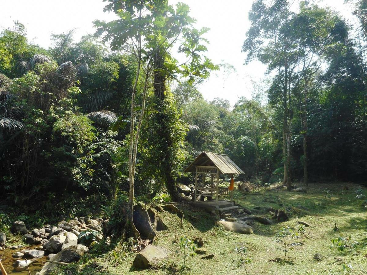 Tegal Jero Homestay Jatiluwih Kültér fotó