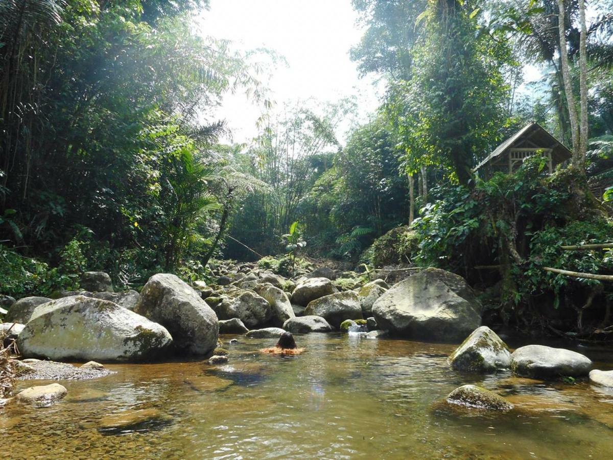 Tegal Jero Homestay Jatiluwih Kültér fotó