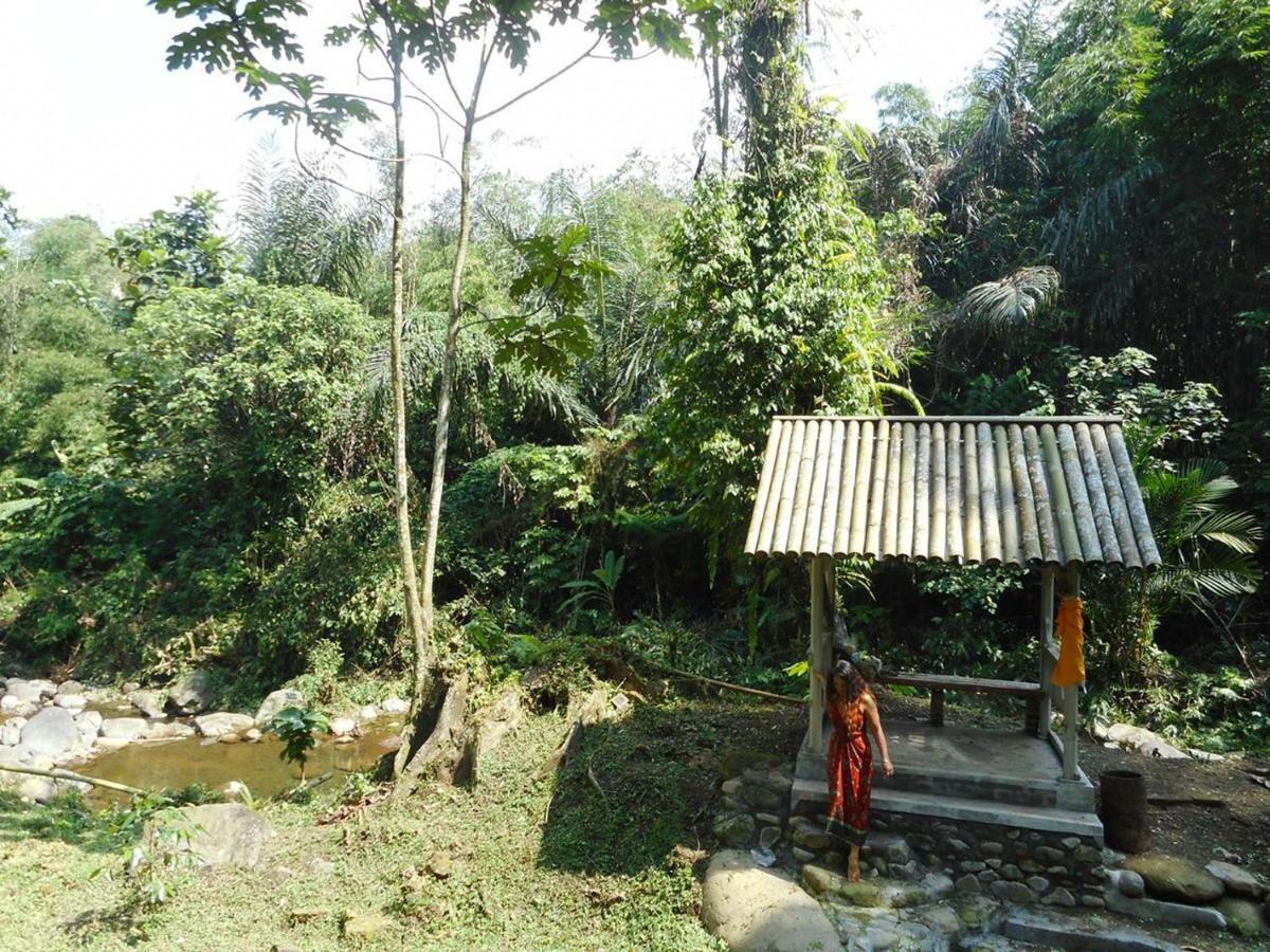 Tegal Jero Homestay Jatiluwih Kültér fotó