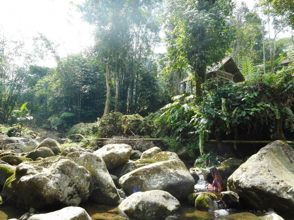 Tegal Jero Homestay Jatiluwih Kültér fotó