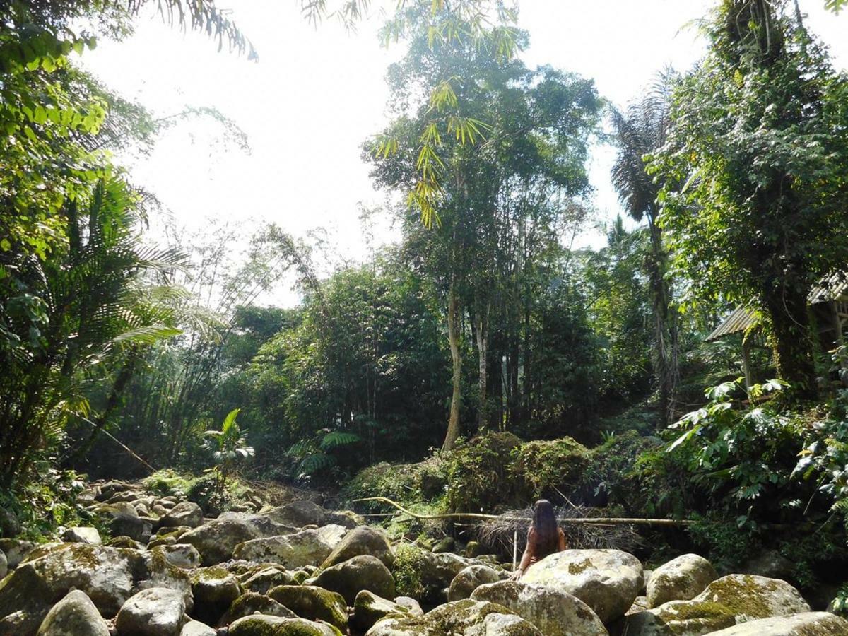 Tegal Jero Homestay Jatiluwih Kültér fotó