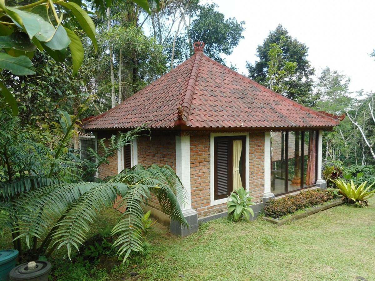 Tegal Jero Homestay Jatiluwih Kültér fotó