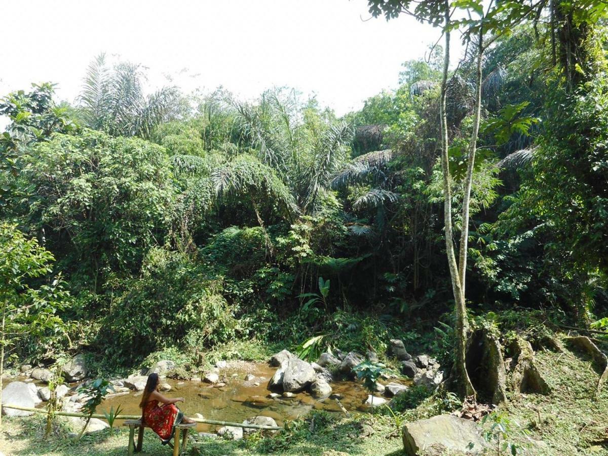Tegal Jero Homestay Jatiluwih Kültér fotó