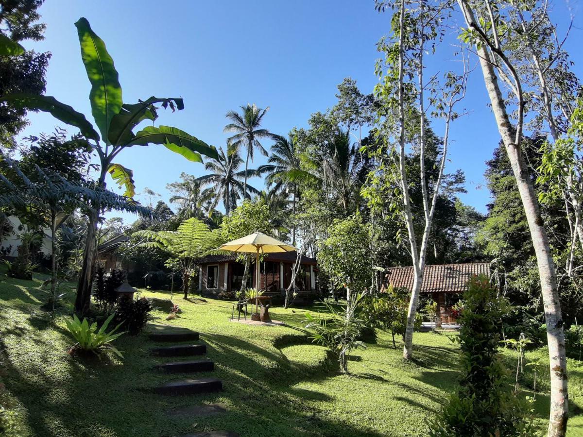 Tegal Jero Homestay Jatiluwih Kültér fotó