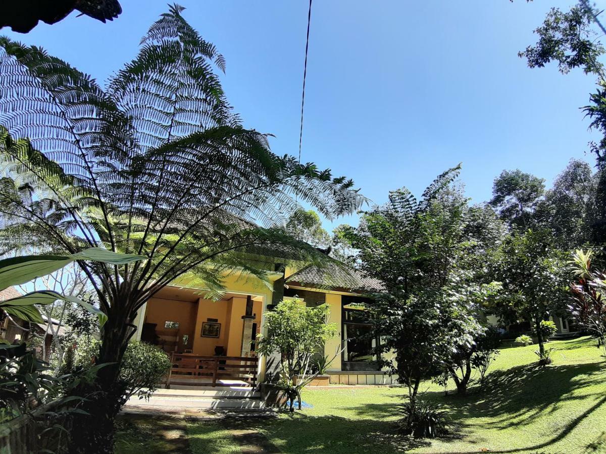 Tegal Jero Homestay Jatiluwih Kültér fotó