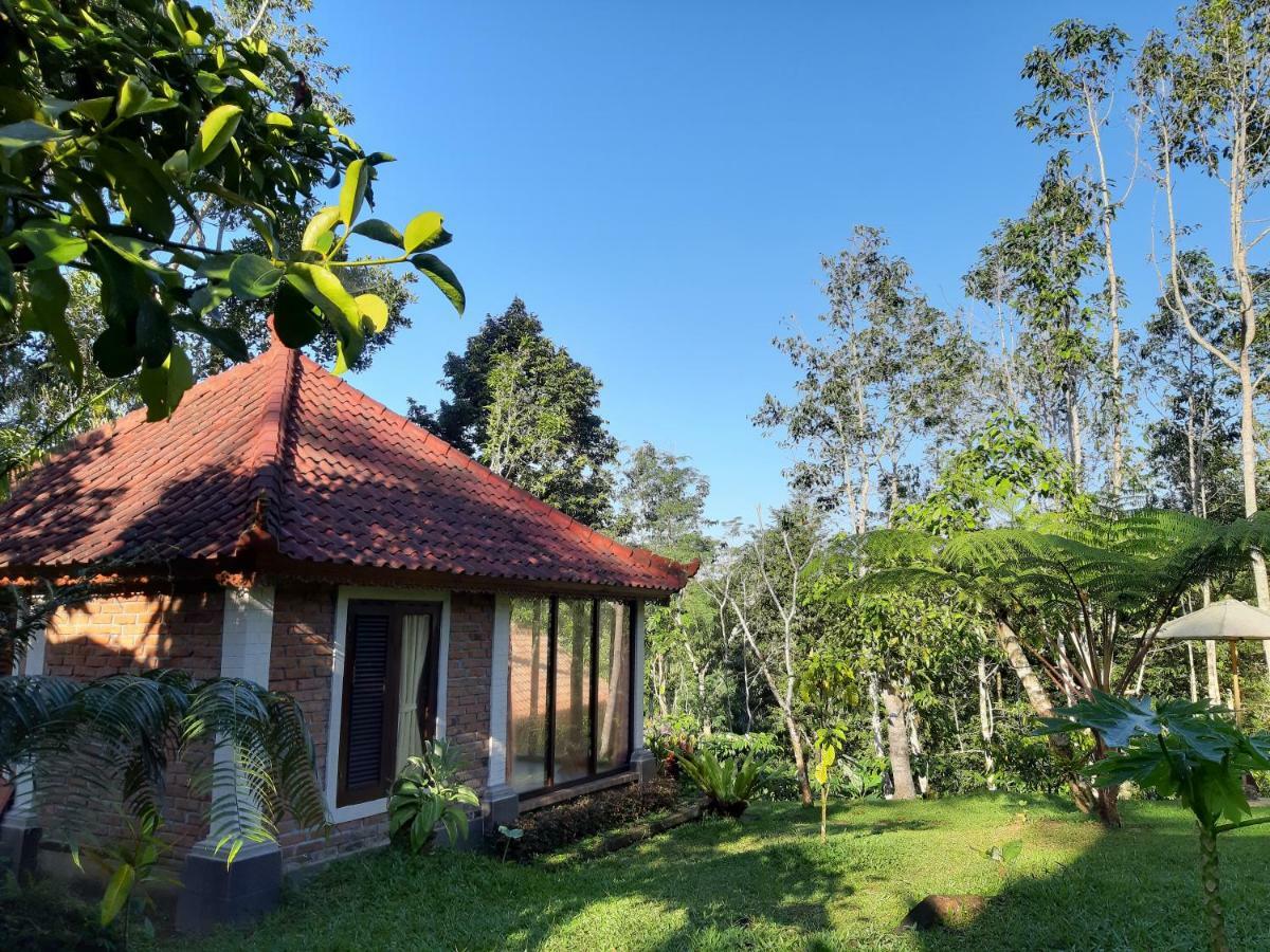 Tegal Jero Homestay Jatiluwih Kültér fotó