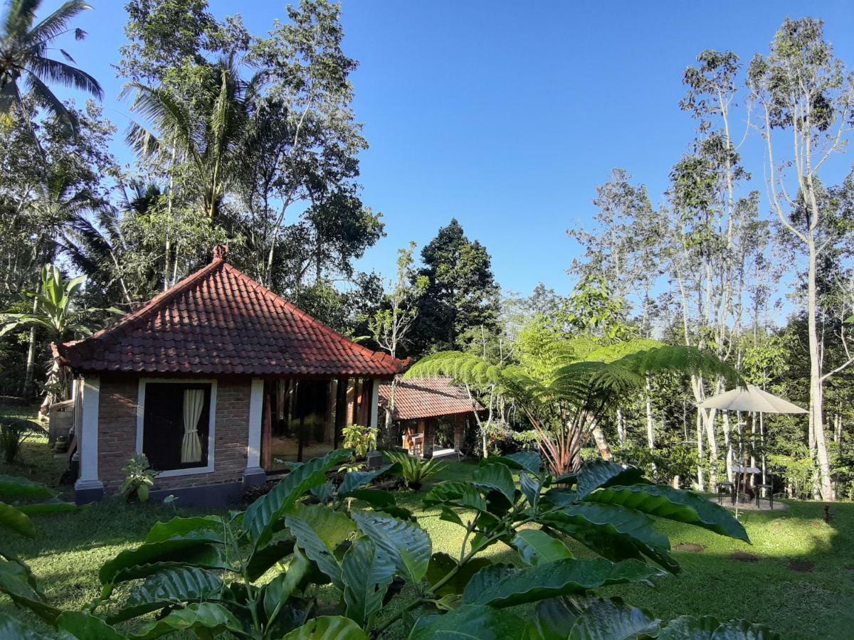 Tegal Jero Homestay Jatiluwih Kültér fotó