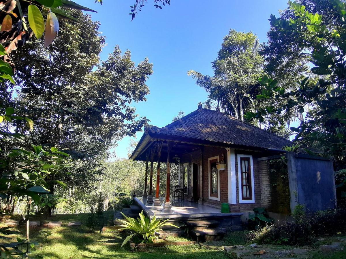 Tegal Jero Homestay Jatiluwih Kültér fotó