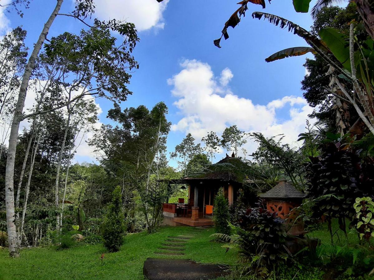 Tegal Jero Homestay Jatiluwih Kültér fotó