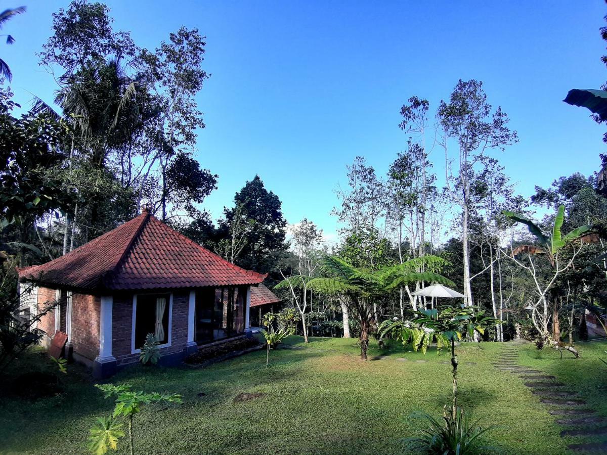 Tegal Jero Homestay Jatiluwih Kültér fotó